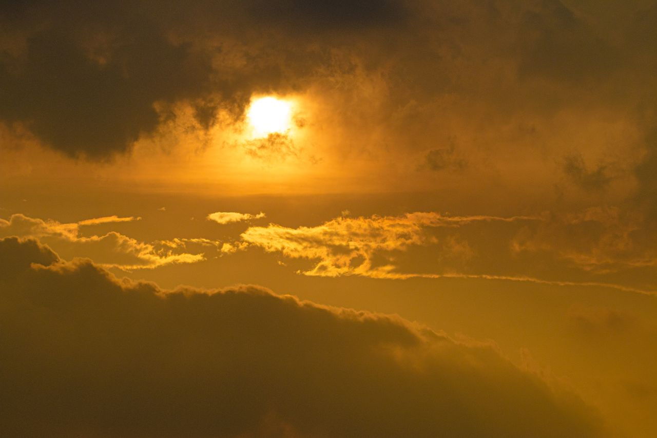 Picturesque endless sky with fluffy cumulus clouds and bright golden sunlight in sunrise